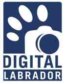 Digital Labrador 